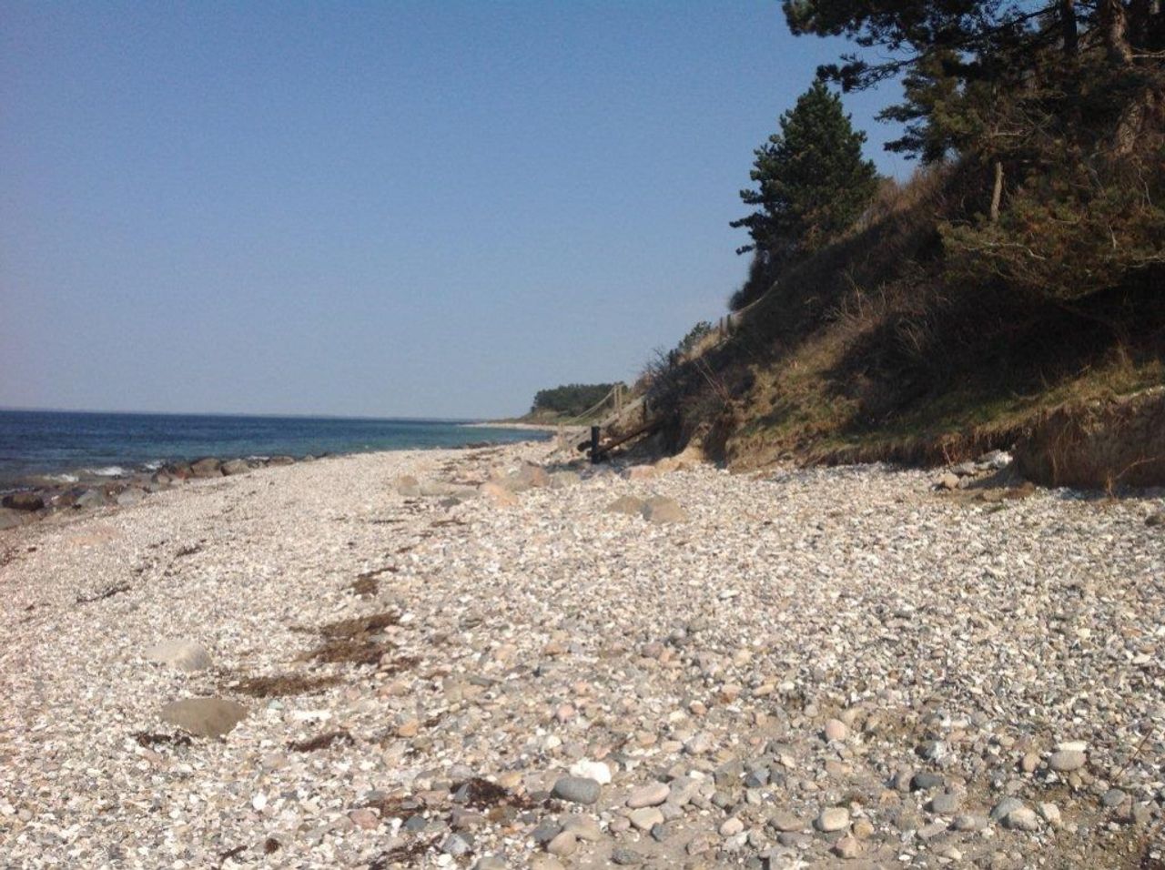 image 02